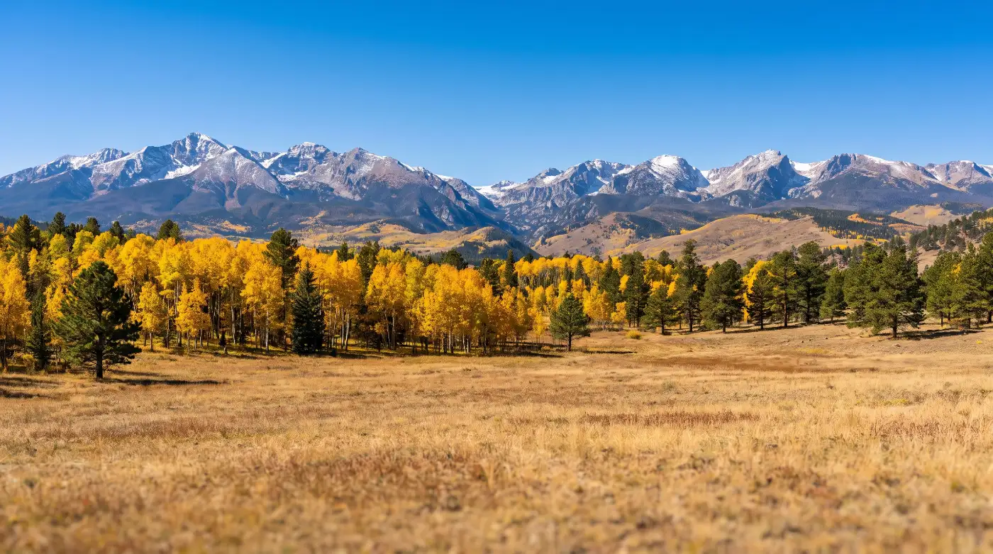 Photo from Elena Marrow's recent work